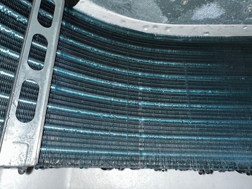 Before and after deep cleaning — After